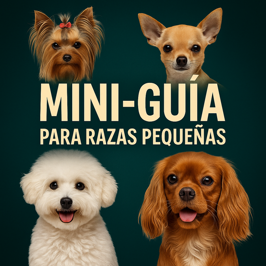 Mini Guía exclusiva para razas pequeñas